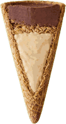 Cross-section of a Dubai Hazelnut cone showing the triple filling