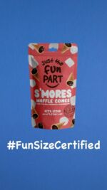 Just The Fun Part, Bite-Size Crispy Mini Waffle Cones with Premium Belgian  Chocolate, Great for Snacks, Dessert, Grab & Go - Kosher, Milk Chocolate